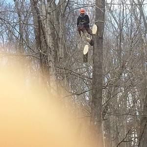 Meet your Posher, Paul